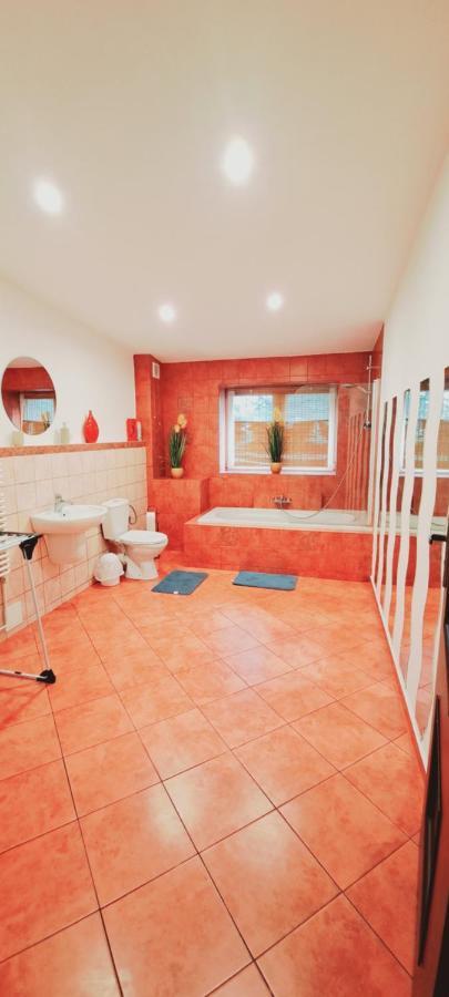 Apartament Alcatraz Z Kominkiem Kamienna Gora Bagian luar foto